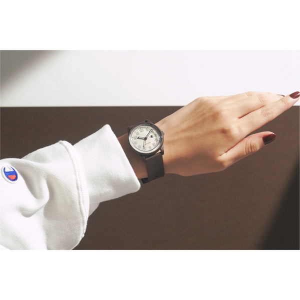 Champion Solar Power Brown